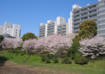 R2遠景.png