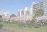 R2遠景.png