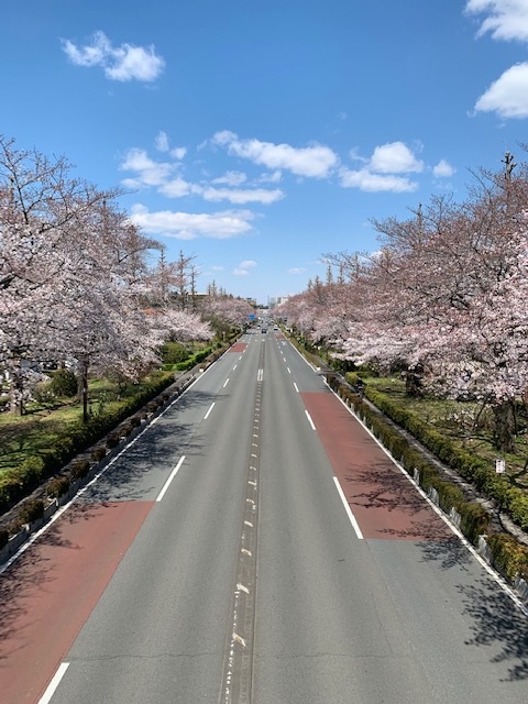 daigakudori.jpg