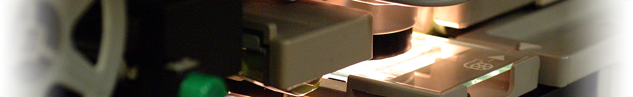 ロシアにおけるユダヤ人関連資料 一橋大学経済研究所資料室