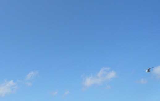 helsinkisky