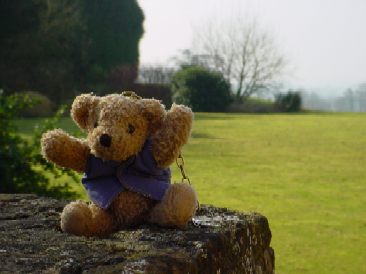 Teddy as my room keyholder